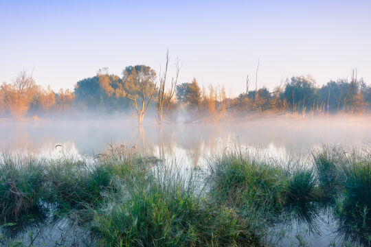 Vlaardingen, The Netherlands