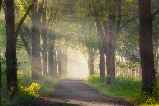 Vlaardingen, The Netherlands