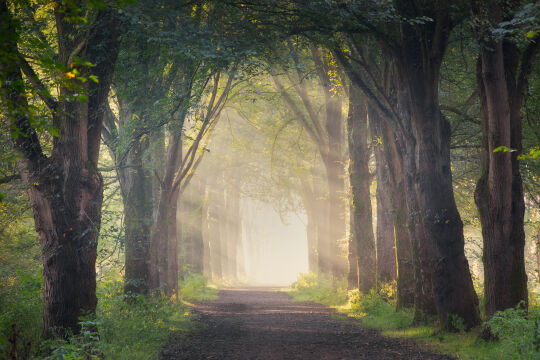 Vlaardingen, The Netherlands